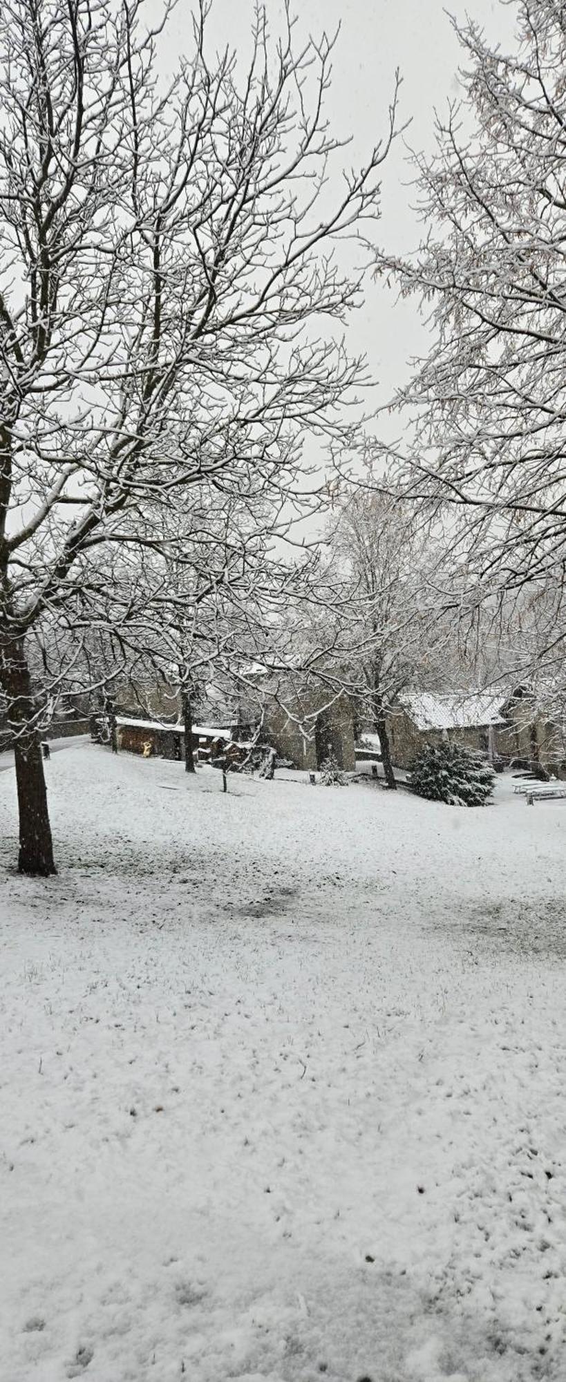 Borgo Corniola B&B Naturista Marradi Exteriör bild