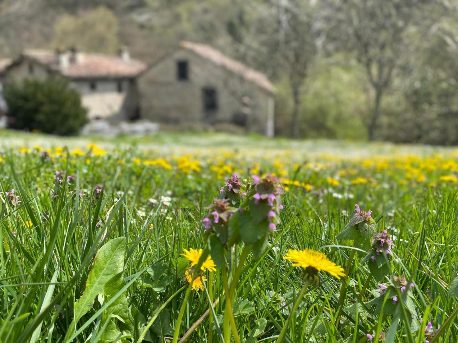 Borgo Corniola B&B Naturista Marradi Exteriör bild