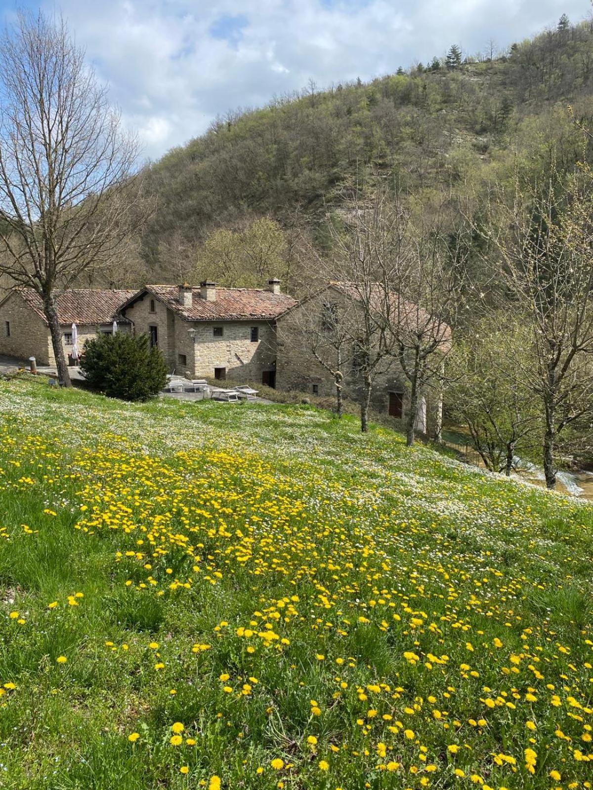 Borgo Corniola B&B Naturista Marradi Exteriör bild